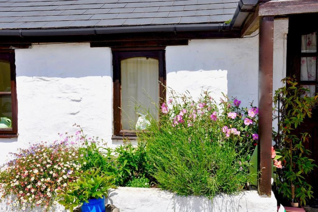 Stunning Annexe 1 Luxury Bedroom, Eating Area & Bathroom Only! Truro Exterior foto
